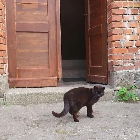 펜션 Mazurska Przystan